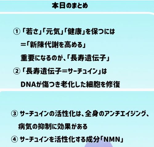 動画のまとめ