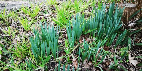 ���Ĥ�ѻ����Ƥ�����Ϥ����٤Ǥ���