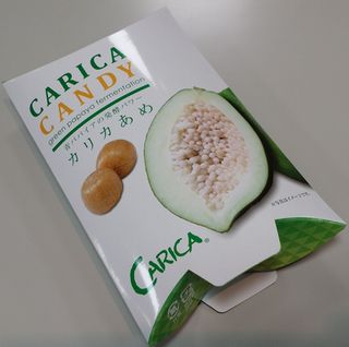 ���ꥫ�������ħ