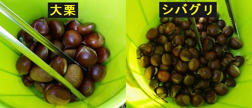 �Ǹ�˼��Ϥ��������̤� (2)