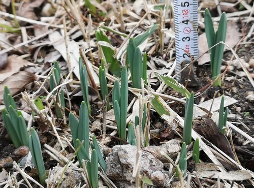 ������������꤬���ӤƤ��ޤ�