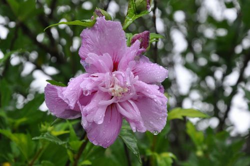 �९�����餭�Ϥ�ޤ���