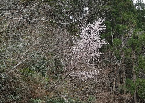 �����Ͽ���������