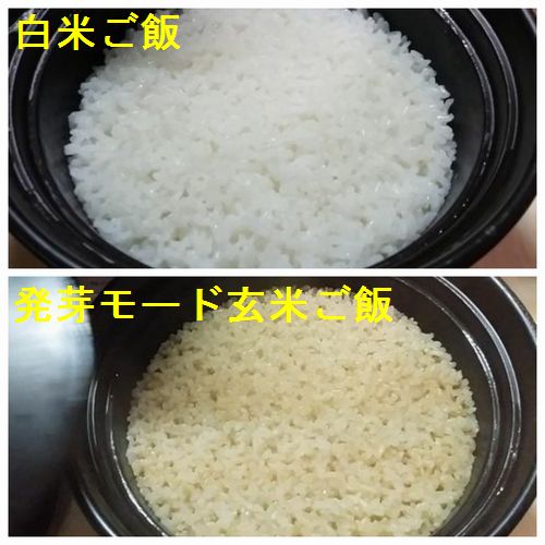 ���Ӥ��椱�ޤ���