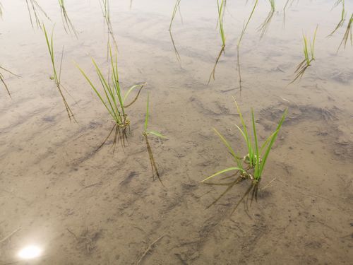 ��ǯ�ϳ��֤Ͼ�������ƣ����Ѥˤ��ޤ���