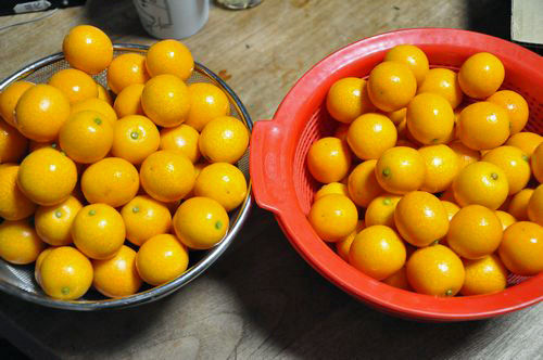 ����ʪ�ˤϰ�İ�İ㤤�ޤ�