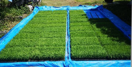 ������˥ס�����Ĥ򳫻Ϥ��ޤ���