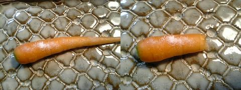 �ְ����˥󥸥�򥭥ѥ����Ȥ򤫤��ơ��ݥ�á�