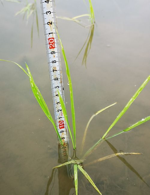 Áð¾æ¤Ï£²£²¥»¥ó¥Á¤Ç¤¹