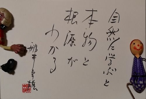 ¼«Á³¤ÎͽÃÎǽÎϤÏÀ¨¤¤¤Ç¤¹¤Í