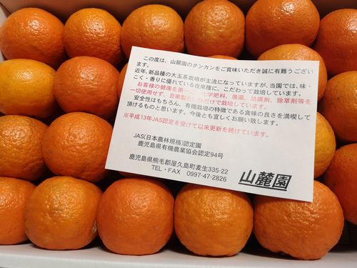 ²°µ×Åç¤Î¥¹¥Þ¥¤¥ê¡¼¤µ¤ó¤Ë¤ª´ê¤¤¤·¤Æ¡Ö