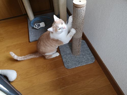 ���饭����ޤȤ�