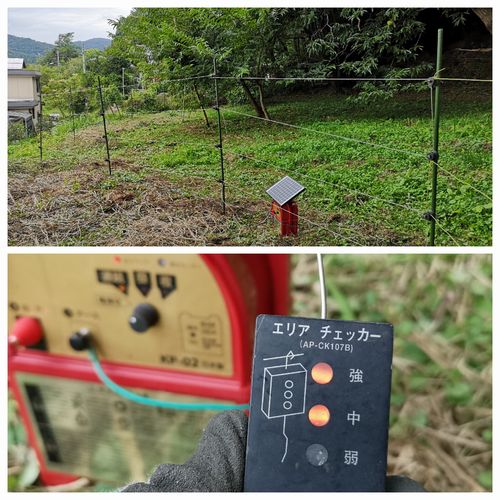 電気柵を設置したばかりでした