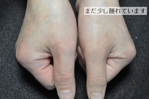 �ޤ��������Ƥ��ޤ�����