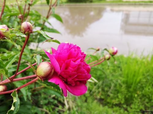 �������餭�Ϥ�Ƥ��ޤ���