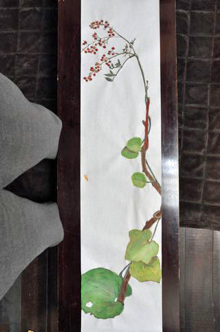 �֤��ζ��֤˲����񤤤��餤���Ǥ��͡���ʪ��̾���Ȥ���