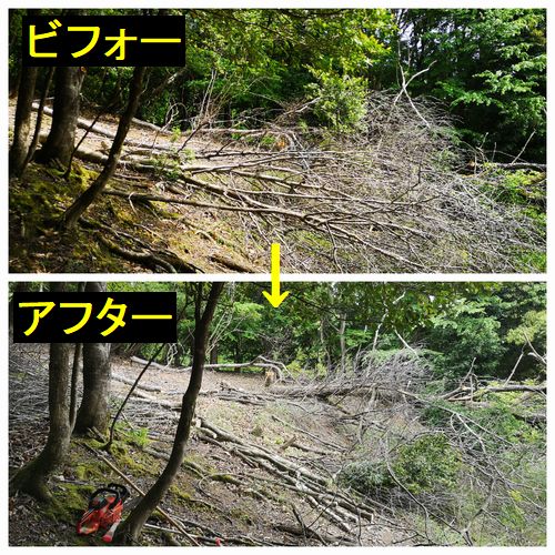 Ⱦʬ�ۤɻ��ڤ꤬�Ǥ��ޤ�����������