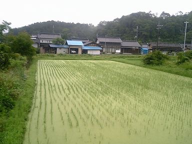 ���䤸���Ĥ��