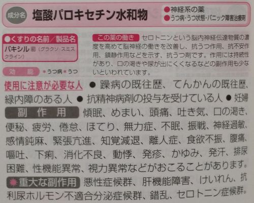 �ѥ륭����