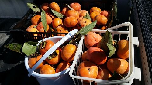�ָ����פ���Ϥ��ޤ���