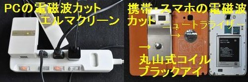 �˥塼�ȥ�饤����
