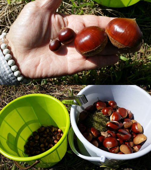 ���٤���ʤ��̤��緪�ȥ��Х��꤬�Τ�ޤ� (2)
