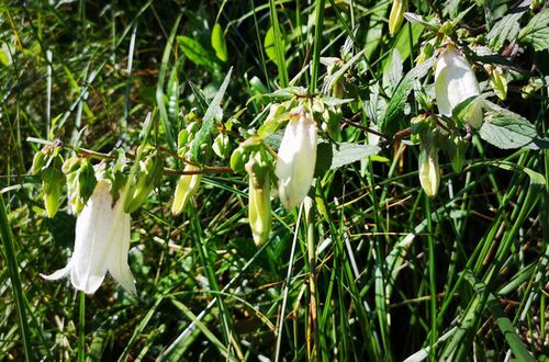 ¥Û¥¿¥ë¥Ö¥¯¥í