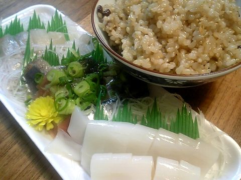 �椬�Ȥ˵��äƵפ��֤��ȯ�긼�Ƥ��ӤȻɿ�