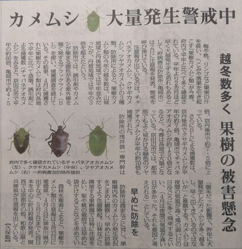 ���������������ʹ�˷Ǻܤ���Ƥ��ޤ���