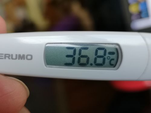 �β�¬���Ϥ�ޤ���