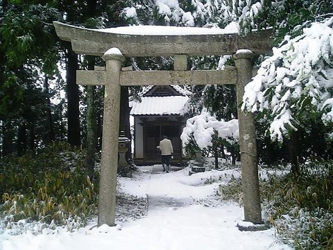 �翹����