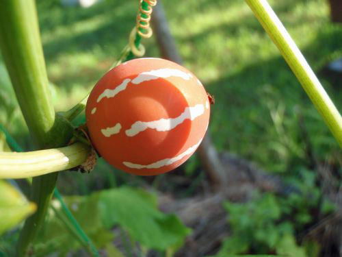 ����顡����顡���饦���