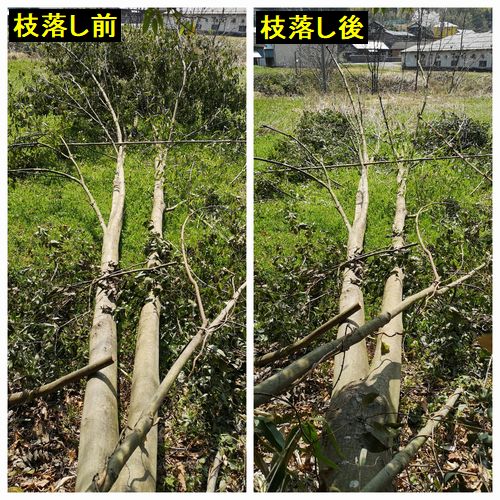 ���ޥХ��ߤ���Ȥ��ޤ���