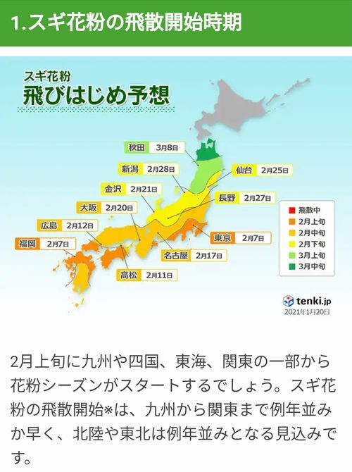 ����������Τ褦�Ǥ�