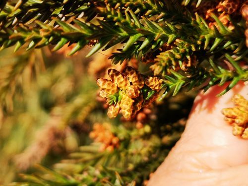 �ޤ��ϤޤäƤ��ޤ���