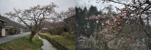 ��褤�κ���褦�䤯�餭�Ϥ���ޤ���