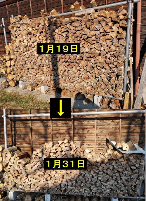 ��������Ⱦʬ�᤯ǳ�䤷�ޤ���