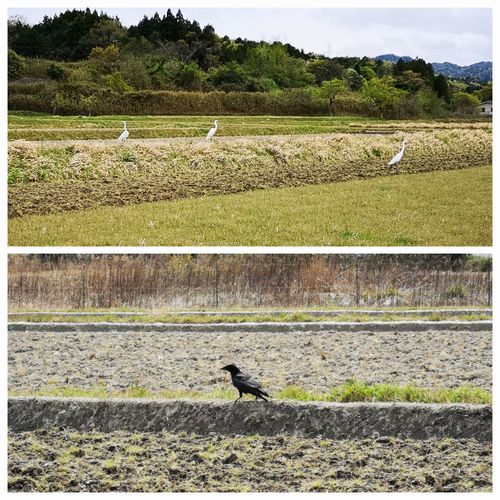 �����������ȥ��饹������