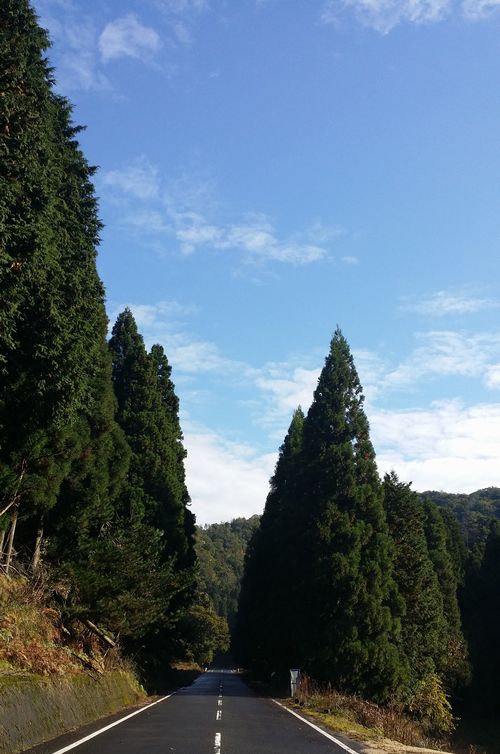 ��ǯ�ѻ����Ƥ��������
