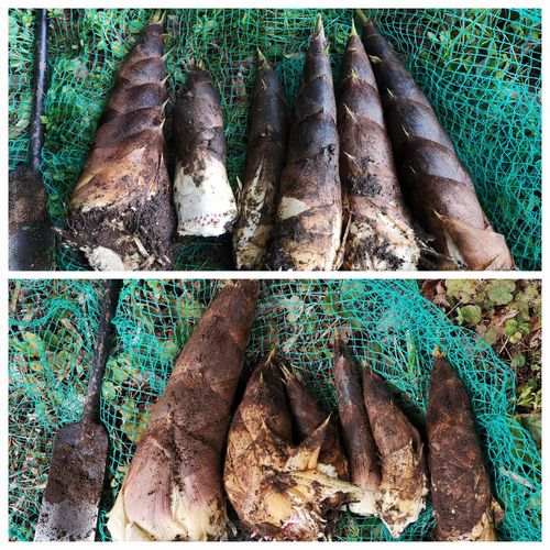 �羮��碌�ƣ����ܷ���ޤ���