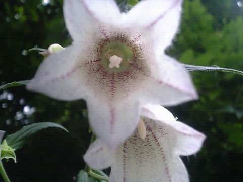 �ۥ���֥���������