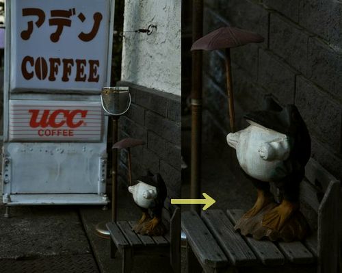 あまりの暑さに日傘を差して頑張っています