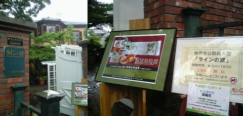 �饤��δۺ���Ÿ