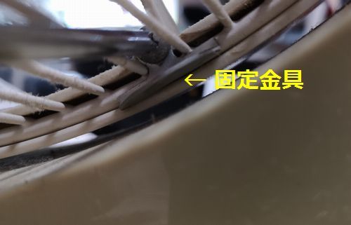 �ͥ���ˤ�Ƹ������ȴ���ޤ�
