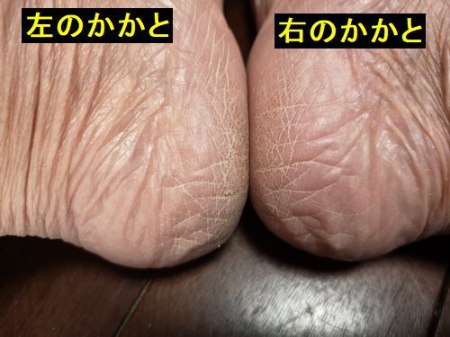 �����֤Ҥӳ��Ϥ�Ƥ��ޤ���