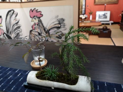 �ޤ����Ϻ���֤Ǥ� (1)