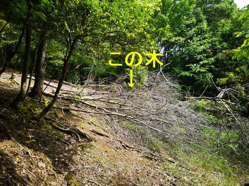 �ڤ���Ȥ�������ˤޤȤ�ޤ�������