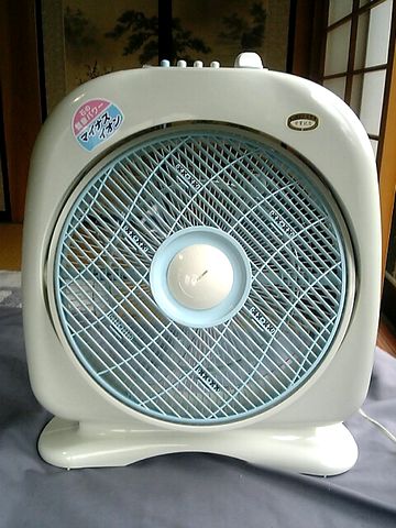 �������촰λ
