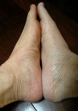 ­�����,