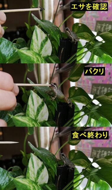 ·èÄêŪ¤Ê½Ö´Ö¤òª¤¨¤Æ¤¤¤Þ¤·¤¿
